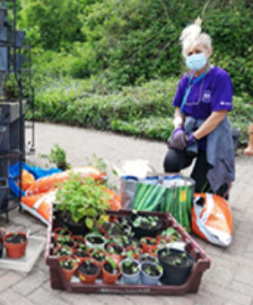 Pat, a volunteer at Findlay House