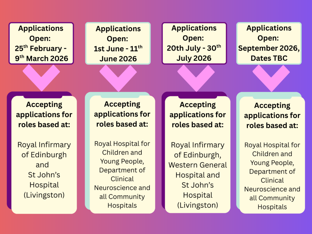 Pink Simple Timeline Infographic